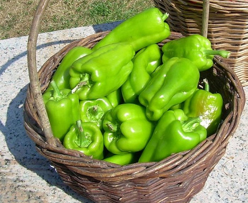 pementos arnoia