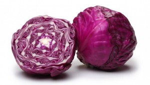lombarda